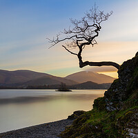 Buy canvas prints of Golden Sunrise At Otterbield Bay Lake District National Park by Phil Durkin DPAGB BPE4