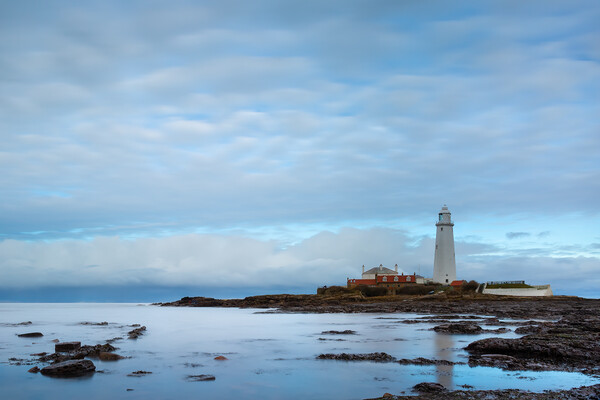 St Marys Lighthouse Northumberland Picture Board by Phil Durkin DPAGB BPE4