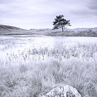 Buy canvas prints of Kelly Hall Tarn Coniston  by Phil Durkin DPAGB BPE4