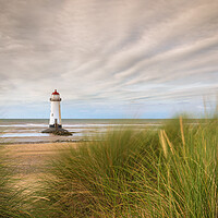 Buy canvas prints of Talacre Lighthouse Through The Dune Grasses by Phil Durkin DPAGB BPE4