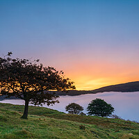Buy canvas prints of Lone Tree Over Coniston At Sunrise by Phil Durkin DPAGB BPE4