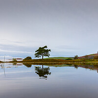 Buy canvas prints of Kelly Hall Tarn Lake District National Park by Phil Durkin DPAGB BPE4