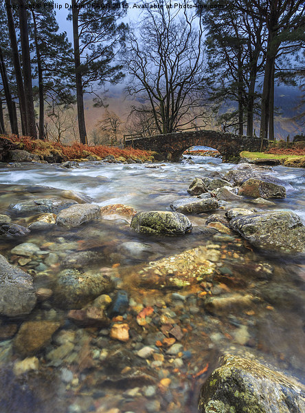  Neither Beck - Lake District National Park UK Picture Board by Phil Durkin DPAGB BPE4
