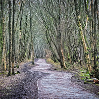 Buy canvas prints of The Pathway by Phil Durkin DPAGB BPE4
