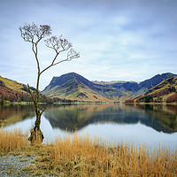 Buy canvas prints of Lake Buttermere by Phil Durkin DPAGB BPE4