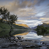 Buy canvas prints of The Lone Tree Llanberis  by Phil Durkin DPAGB BPE4