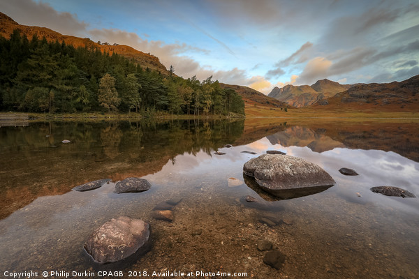 Blea Tarn Morning in Autumn Picture Board by Phil Durkin DPAGB BPE4