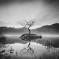 Buy canvas prints of Rydal Water In The Mist by Phil Durkin DPAGB BPE4