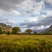 Buy canvas prints of Buttermere Panoramic  by Phil Durkin DPAGB BPE4