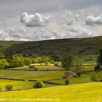 Buy canvas prints of A Yorkshire Dales  Field With Barn by Phil Durkin DPAGB BPE4