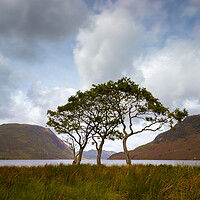 Buy canvas prints of Buttermere In The Lake District National Park by Phil Durkin DPAGB BPE4