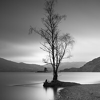 Buy canvas prints of Single Tree On Ullswater by Phil Durkin DPAGB BPE4