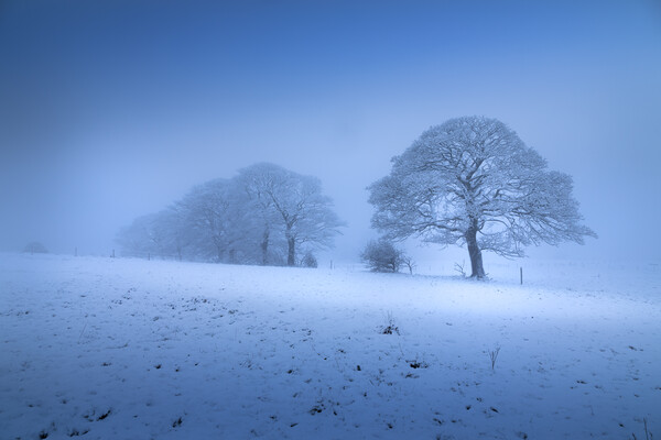 A Blue Hour Winter Scene Picture Board by Phil Durkin DPAGB BPE4