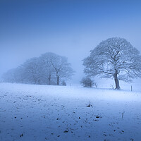 Buy canvas prints of A Blue Hour Winter Scene by Phil Durkin DPAGB BPE4