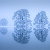 Buy canvas prints of Snow Covered Tree Reflection by Phil Durkin DPAGB BPE4