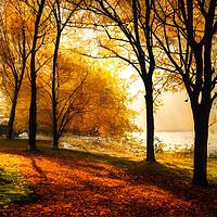 Buy canvas prints of Autumn by The Lake by Adam Kelly