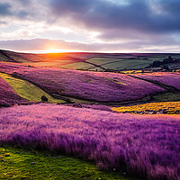 Buy canvas prints of Heather on The Hills, Yorkshire Dales by Adam Kelly