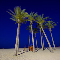 Buy canvas prints of Palms in theevening. Beach of Roquetas de Mar 2 by Jose Manuel Espigares Garc
