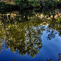 Buy canvas prints of Reflections on the water, the forest by Jose Manuel Espigares Garc