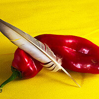 Buy canvas prints of Minimalistic still life with a red pepper and a feather by Jose Manuel Espigares Garc