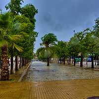 Buy canvas prints of Lonely promenade on a rainy day in Carmona - Seville - by Jose Manuel Espigares Garc
