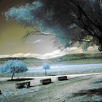 Buy canvas prints of Infrared photography with a long exposition by Jose Manuel Espigares Garc