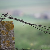 Buy canvas prints of Barbed wire in the countryside 2 by Jose Manuel Espigares Garc