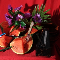 Buy canvas prints of  Water melon flowers and a metronome by Jose Manuel Espigares Garc
