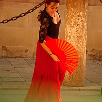 Buy canvas prints of Flamenco in the street 25 by Jose Manuel Espigares Garc