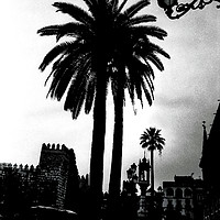 Buy canvas prints of Palm tree in Seville by Jose Manuel Espigares Garc