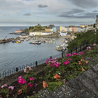 Buy canvas prints of Tenby Harbour From Above by Pete Holyoak