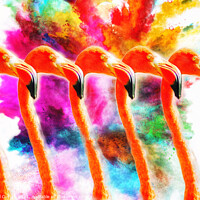 Buy canvas prints of Explosion of Colour Flamingo Army by Beryl Curran