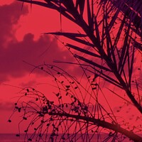 Buy canvas prints of Romantic Red Sunset Paradise by Beryl Curran