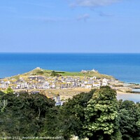 Buy canvas prints of Majestic St Ives G7 Summit View by Beryl Curran