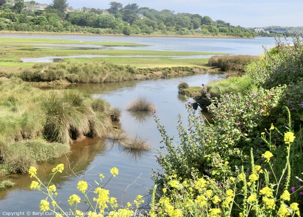 Serenity at Hayle Nature Reserve Picture Board by Beryl Curran