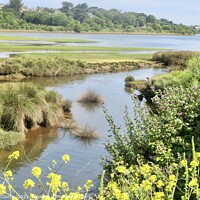 Buy canvas prints of Serenity at Hayle Nature Reserve by Beryl Curran