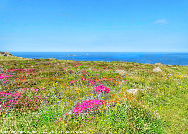 Majestic Heather Fields. Lands End Picture Board by Beryl Curran