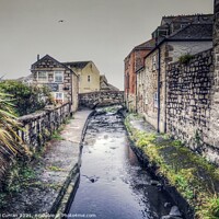 Buy canvas prints of Serene Newlyn Coombe River by Beryl Curran