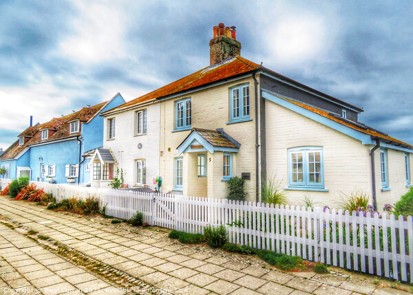 Charming Cottages on Mudeford Quay Picture Board by Beryl Curran