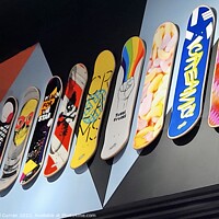 Buy canvas prints of Skateboard Art A Modern Wall Statement by Beryl Curran
