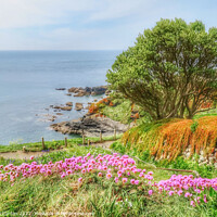 Buy canvas prints of Serenity at Lizard Point by Beryl Curran