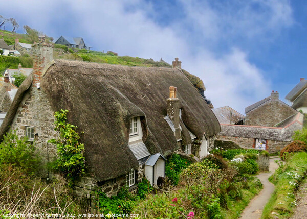 Secluded Charm in Cornwall Picture Board by Beryl Curran