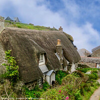 Buy canvas prints of Secluded Charm in Cornwall by Beryl Curran
