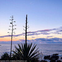 Buy canvas prints of Exotic Sunset on Tenerifes Shoreline by Beryl Curran