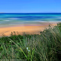 Buy canvas prints of Serenity of Golden Sands Hayle by Beryl Curran