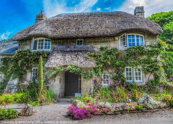 Enchanting Thatched Cottage in Cornwall Picture Board by Beryl Curran