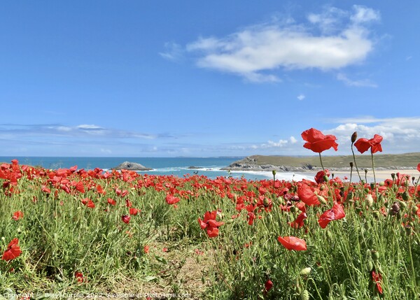 Majestic Poppies Dancing by the Sea Picture Board by Beryl Curran