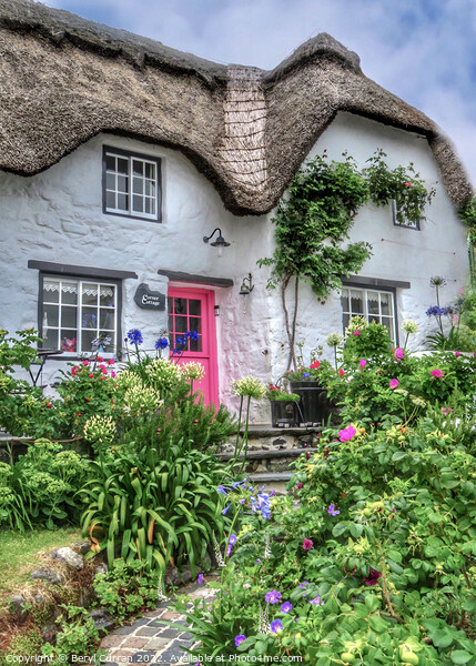 Enchanting Thatched Cottage in Cornwall Picture Board by Beryl Curran