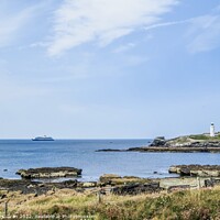 Buy canvas prints of Majestic Spirit of Adventure at Godrevy  by Beryl Curran