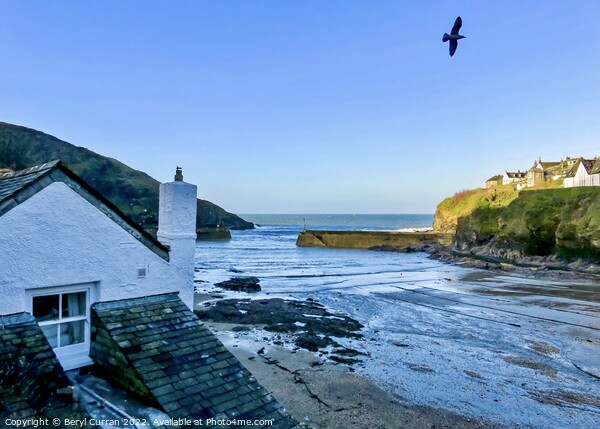 Golden Hour in Port Isaac Picture Board by Beryl Curran